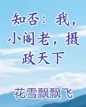 知否：我，小阁老，摄政天下
