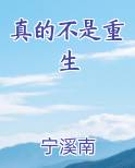 真的不是重生小说全集