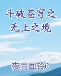 斗破苍穹之无上之境